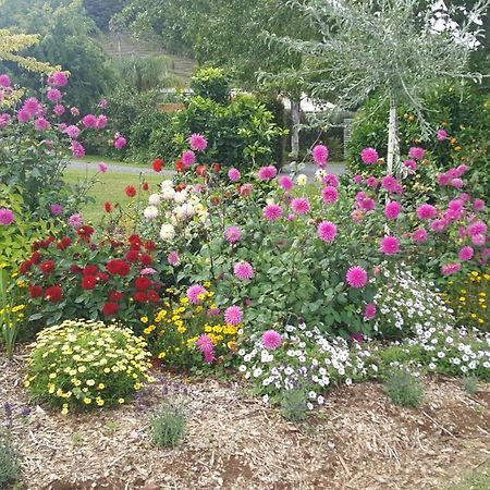 Glenbervie Cottages Whangarei Extérieur photo