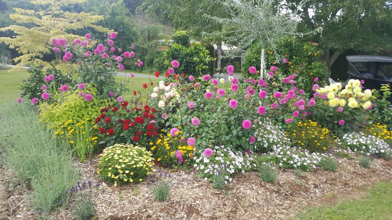 Glenbervie Cottages Whangarei Extérieur photo